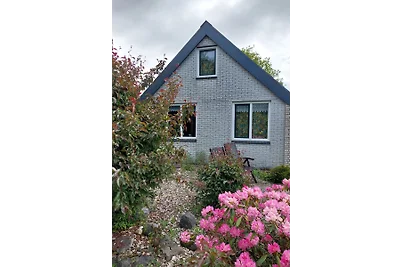 Ferienhaus in St. Maartenszee