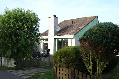 Ferienhaus Typ Albatros Julianadorp