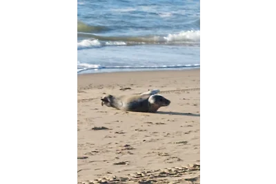 Casa a St. Maartenszee