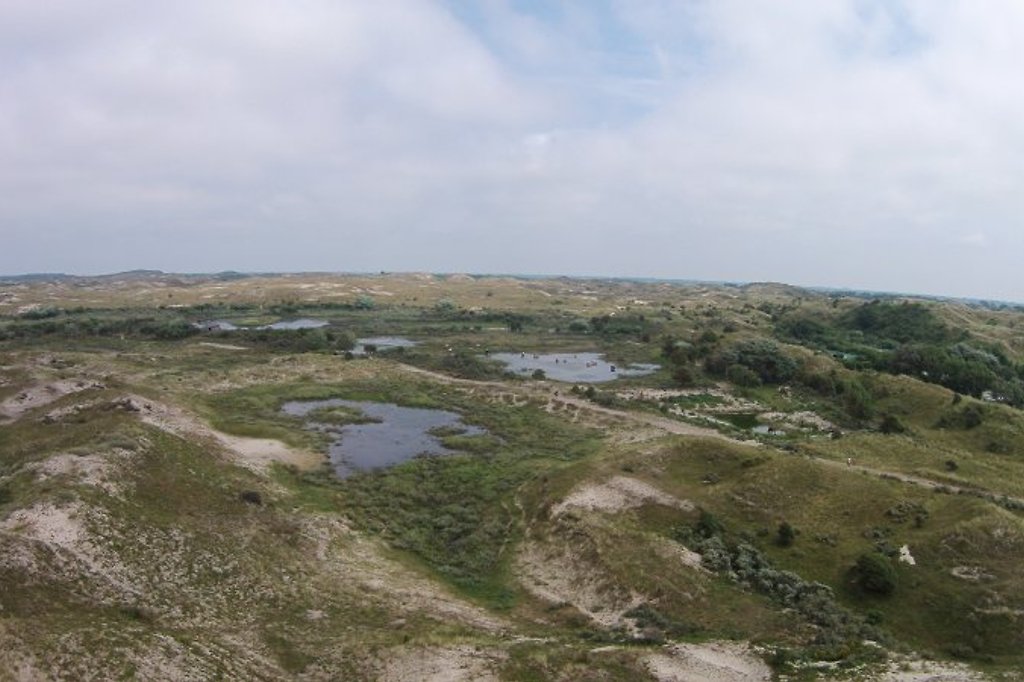 Ferienwohnung Visser ***++ in Egmond aan Zee ab 33 € direkt bei Firma Ferienhaus Visser, Herr W