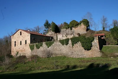 Katharerburg con piscina in Ariège