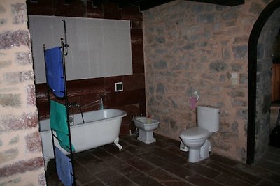 Katharerburg mit Pool im Ariège