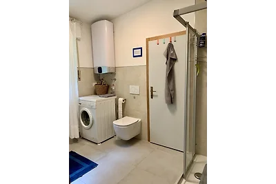 Cottage direct aan de Ledrosee