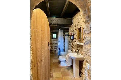 Katharerburg con piscina in Ariège