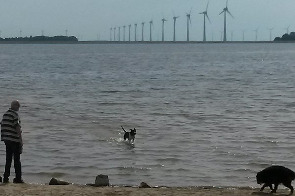 Vakantiehuis Lemmer