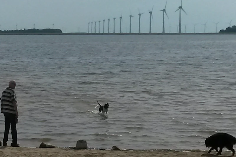 Hundestrand, toben und schwimmen für alle Vierbeiner erwünscht
