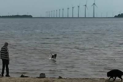 Hundeurlaub & Wellness/ Hundestrand