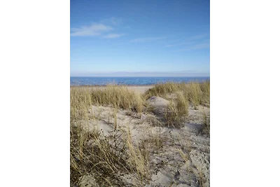 Ferienhaus  Kronsgaard/Ostsee