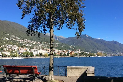 Del Parco 17