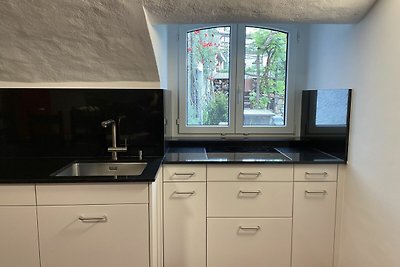 Vakantieappartement Gezinsvakantie Gambarogno