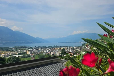 Casa Colombina & Studio