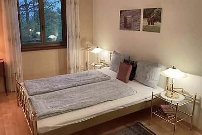 Vakantieappartement Gezinsvakantie Brissago