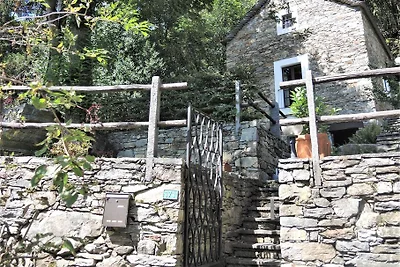 Rustico Gatto