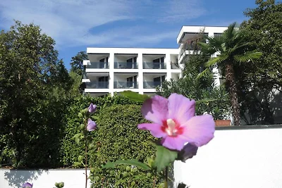 Fiore Rosa