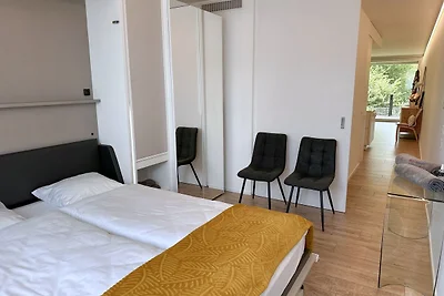 Apartament Dla rodzin Losone