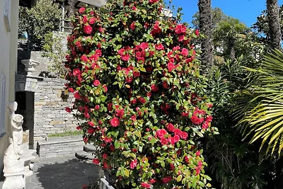 Appartamento Vacanza con famiglia Locarno e dintorni
