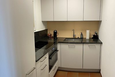 Vakantieappartement Gezinsvakantie Ronco sopra Ascona