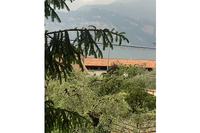 grande appartamento in un uliveto