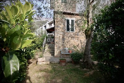 grande appartamento in un uliveto
