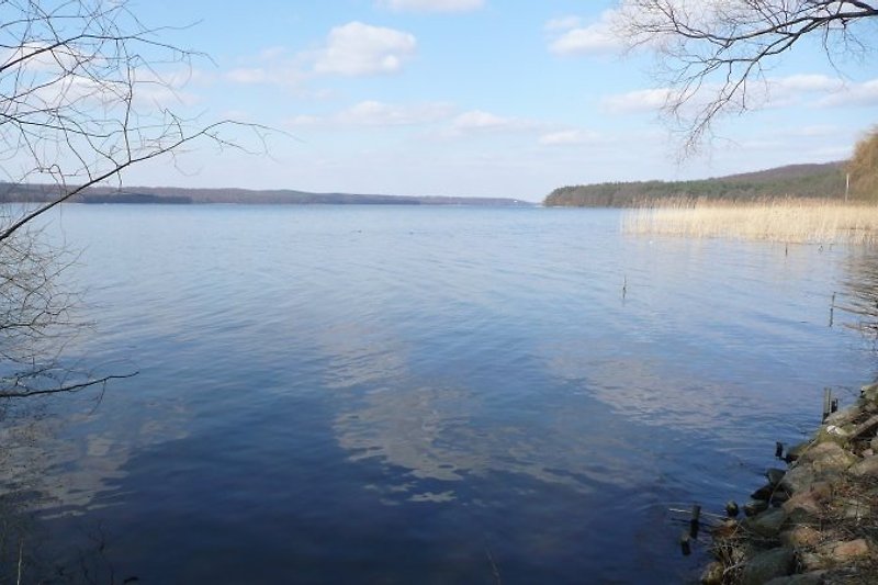 Der See vom Wald umgeben