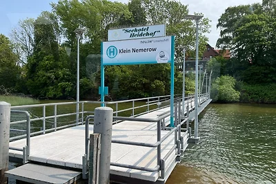 Vakantiehuis Tollensesee
