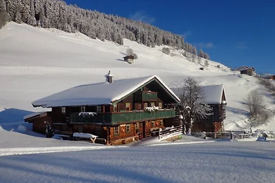 Uriges Bauernhaus  Widholzgut
