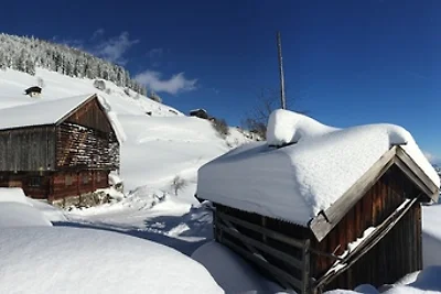 Uriges Bauernhaus  Widholzgut