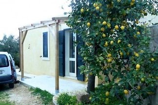 CASA SARA