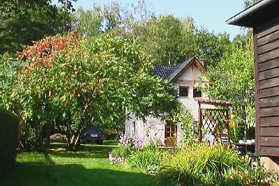 Ferienwohnungen  Wolziger See