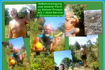 Zimmer in Naturfarm 300 m zum Meer