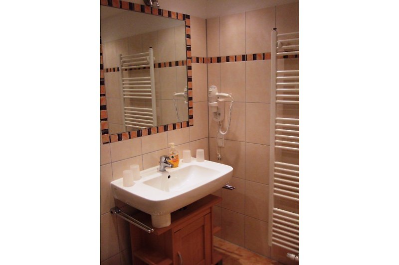 Shower bath with bathroom radiator