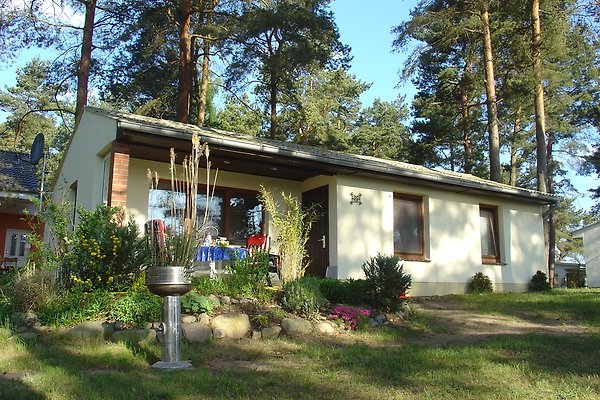 Ferienhaus Plau am See