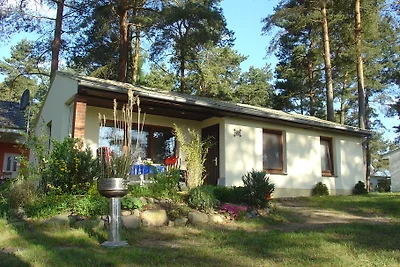 1A posizione -casa vacanze con camino