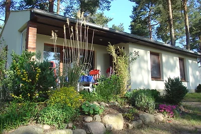 1A posizione -casa vacanze con camino