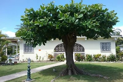 Villa Mango (Sunset Crest 208)