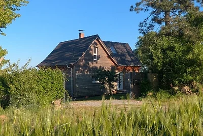 Boddenhalm