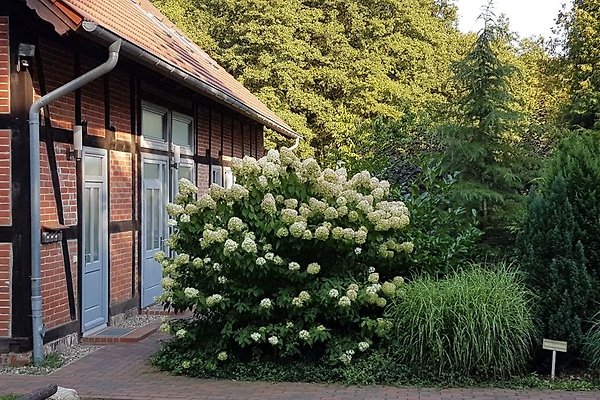 Ferienwohnung Rheinsberg