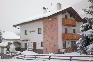 Ferienhaus Alpenkönig