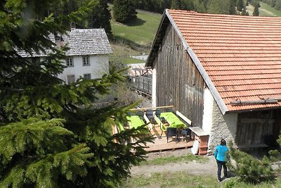 Franzl's ski and hiking hut