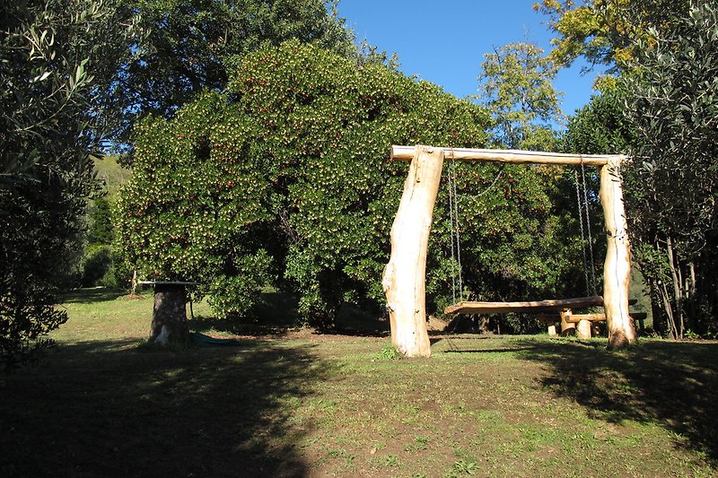 Zwei hochgewachsene Baumstämme mit einem Querbalken darüber dienen als Gerüst für eine Kinderschaukel.