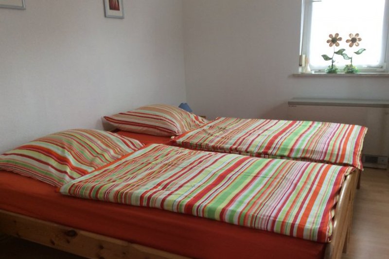 Single sachsenheim