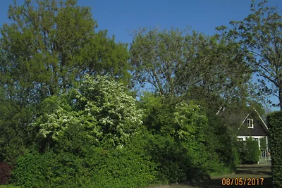 Prinsepark 24
