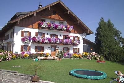 Panorama-Ferienhof Nußbaumer