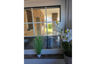 Stilvolle Ferienwohnung – Ruhe & Komfort nahe Nationalpark Eifel