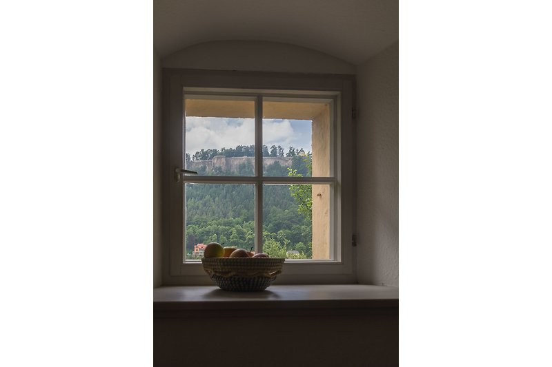 Blick aus dem Küchenfenster
