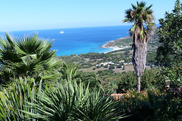 Ferienwohnung Ile Rousse