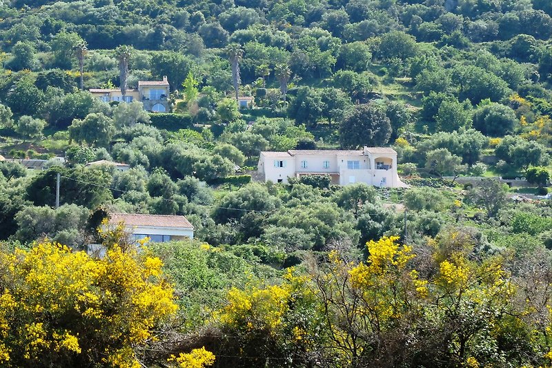 Casa Cilenti, oben links, Natur pur
