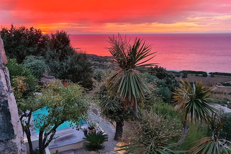 Sonnenuntergang am Meer mit Palmen und botanischem Garten.