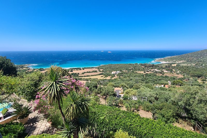 Tropische Landschaft mit Palmen, im Hintergrund die Fähren nach Ile Rousse