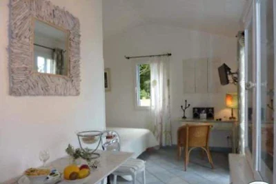 Studio Palmier